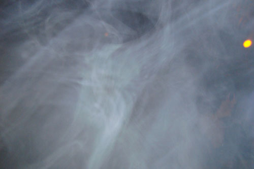 DSC01421