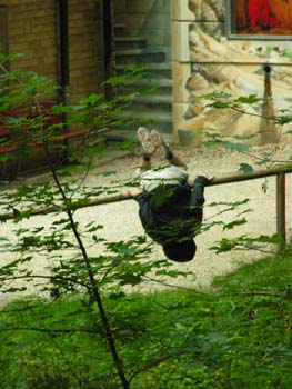 musigreise07 (104)