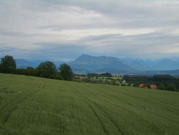 musigtag2007 013
