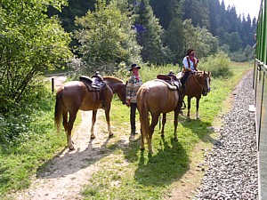 musikreise2004 06